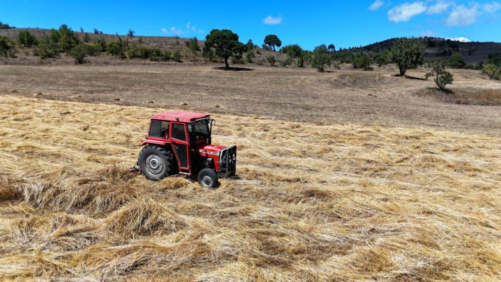 Ordu'da 31 bin dekar atıl arazi üretime kazandırıldı 