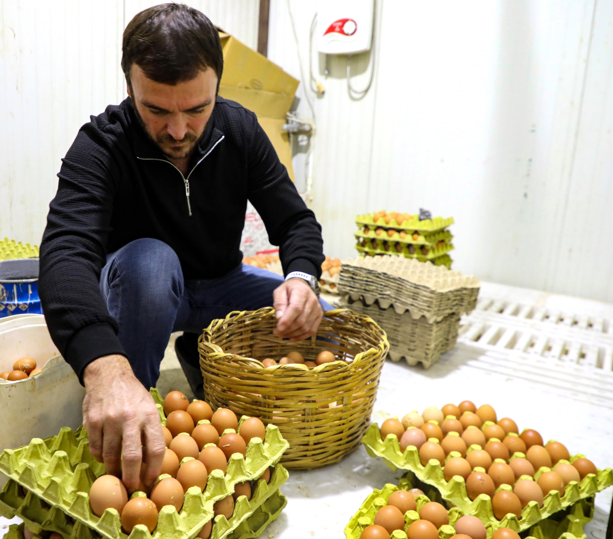 YUMURTA SEKTÖRÜ BAŞKAN GÜLER SAYESİNDE AYAĞA KALKTI